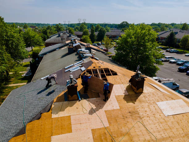 Best Flat Roof Repair Services  in Cohasset, MN